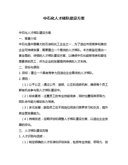 中石化人才梯队建设方案