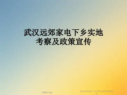 武汉远郊家电下乡实地考察及政策宣传