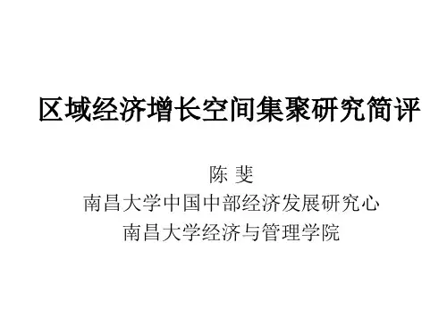 陈斐 区域经济增长空间集聚(文献综述)-PPT精选文档