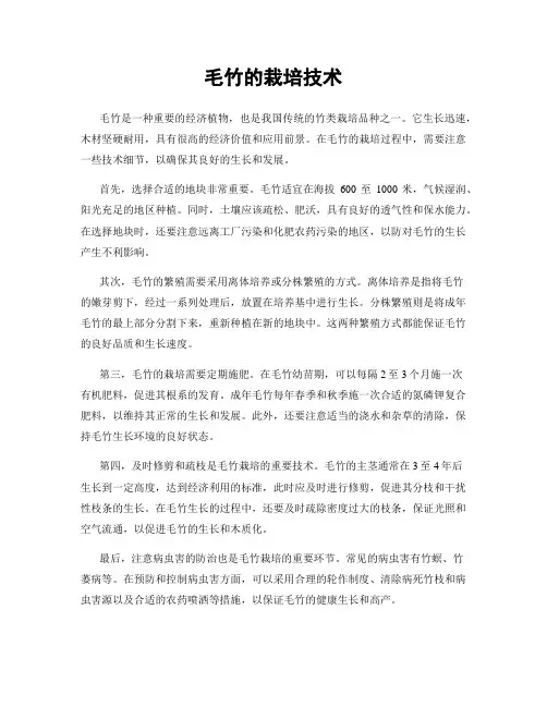 毛竹的栽培技术