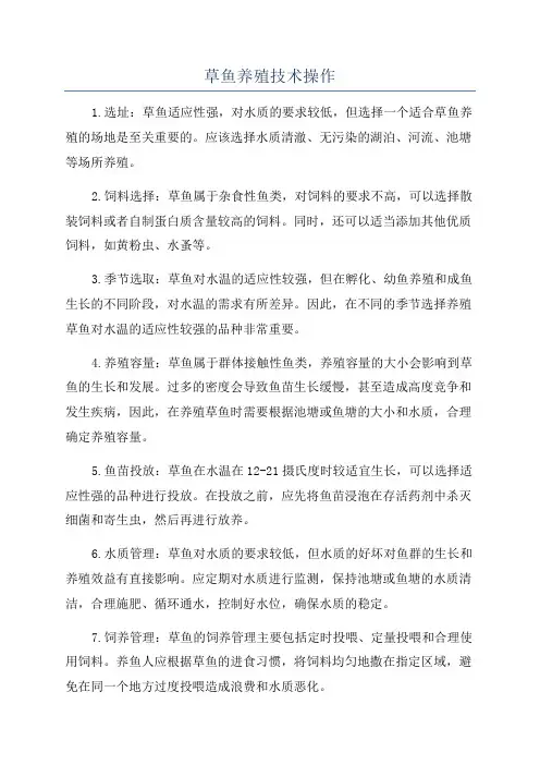 草鱼养殖技术操作