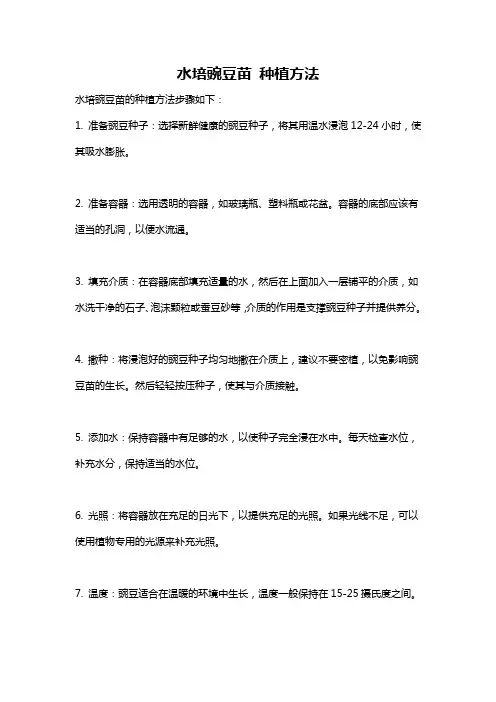 水培豌豆苗 种植方法