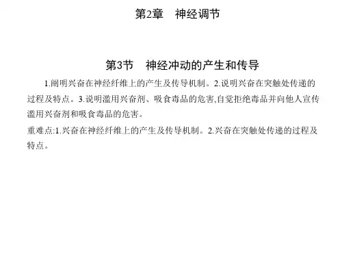 高中生物新人教版选择性必修1第2章第3节神经冲动的产生和传导课件(16张)