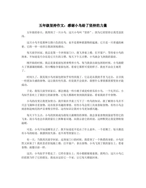 五年级坚持作文：感谢小鸟给了坚持的力量