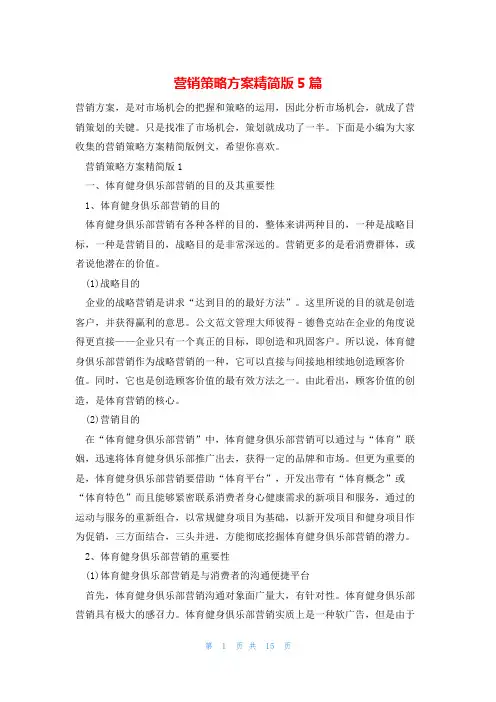 营销策略方案精简版5篇