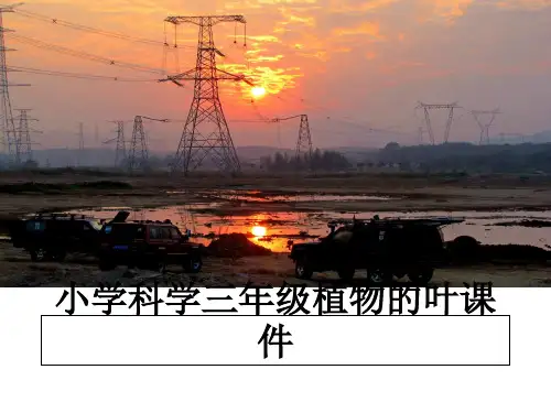 最新小学科学三年级植物的叶课件教学讲义ppt课件