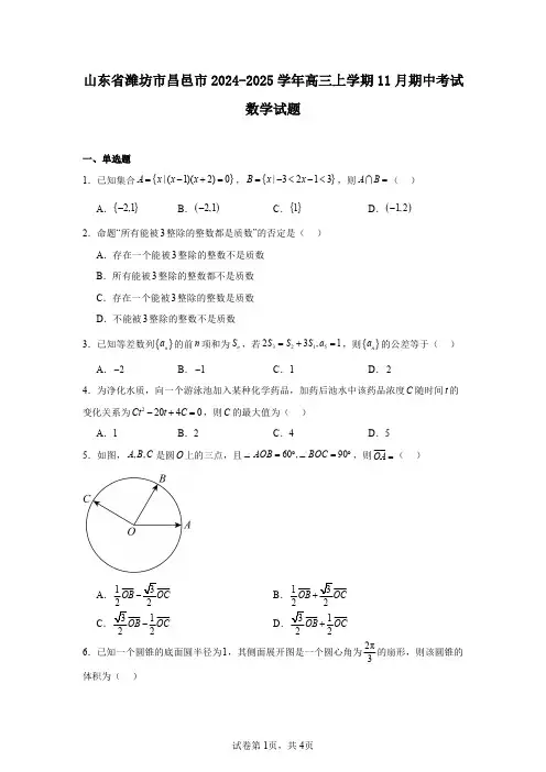 山东省潍坊市昌邑市2024-2025学年高三上学期11月期中考试数学试题