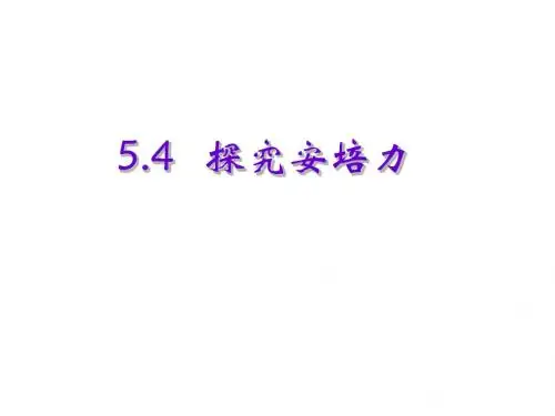 探究安培力课件