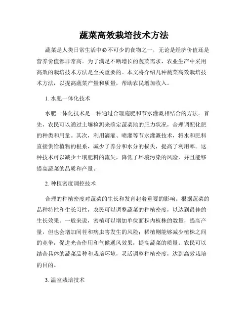 蔬菜高效栽培技术方法
