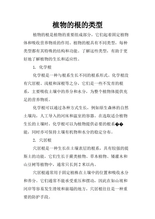 植物的根的类型