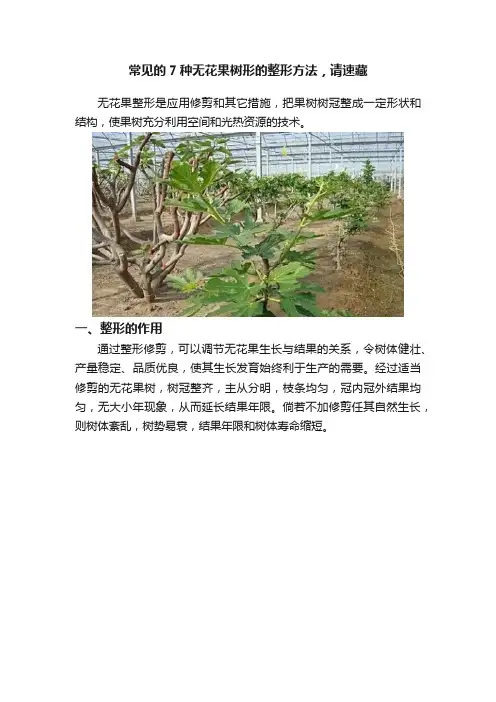 常见的7种无花果树形的整形方法，请速藏