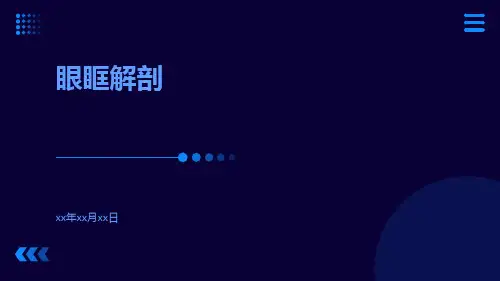 眼眶解剖-精品文档