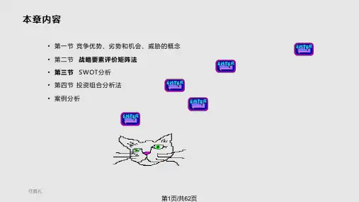高级财务管理企业战略分析方法PPT课件