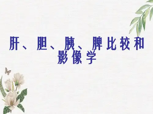 肝、胆、胰、脾比较和影像学