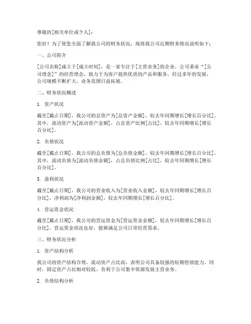 财务情况说明模板