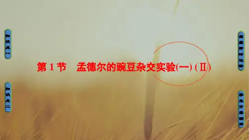 2018学年高中生物必修二课件 第一章 遗传因子的发现 第1章-第1节Ⅱ