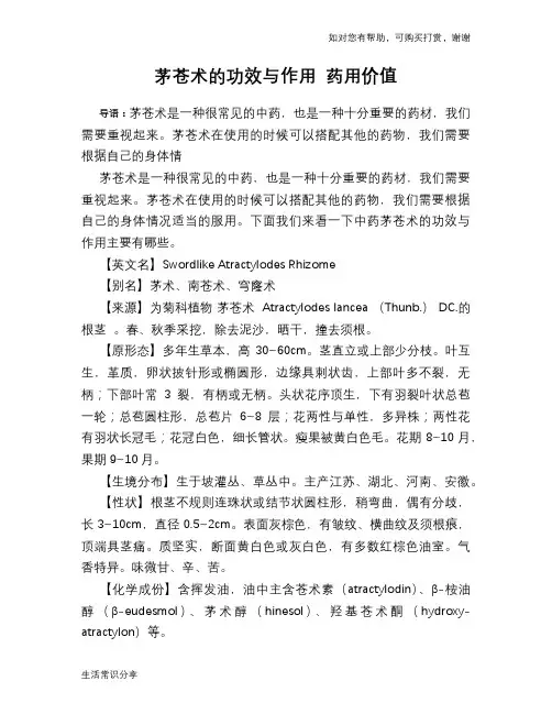 茅苍术的功效与作用 药用价值