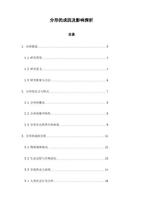 分形的成因及影响探析