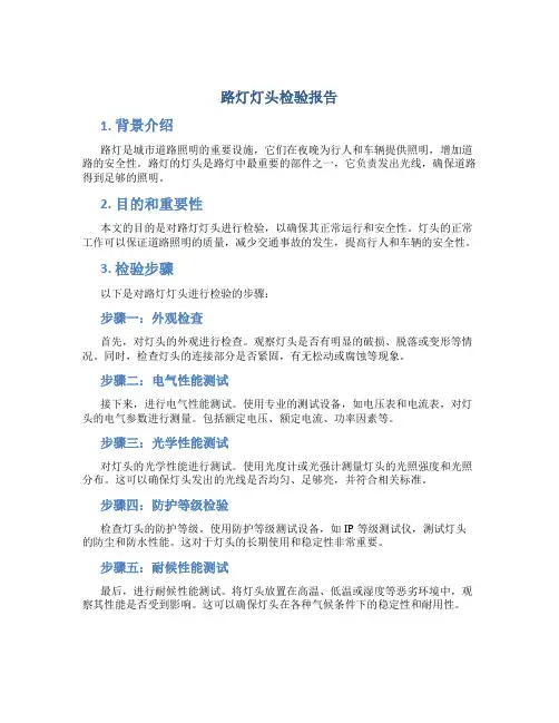 路灯灯头检验报告