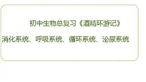 2023年中考初中生物总复习：消化系统循环系统+呼吸系统+泌尿系统复习课件