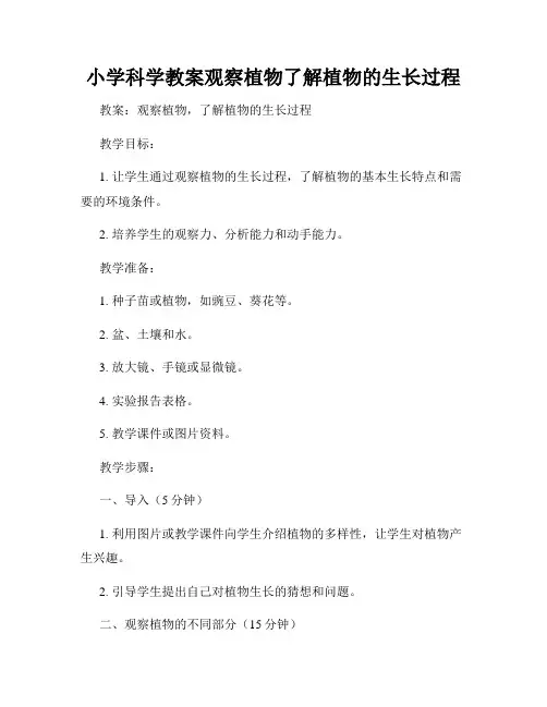 小学科学教案观察植物了解植物的生长过程