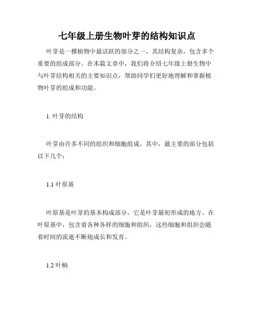 七年级上册生物叶芽的结构知识点