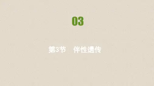 高中生物人教版2019必修2练习课件第2章第3节伴性遗传