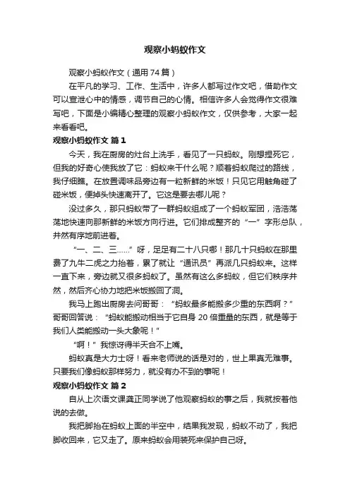观察小蚂蚁作文（通用74篇）