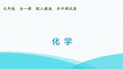 最新人教版九年级全一册化学下册水平测试试卷