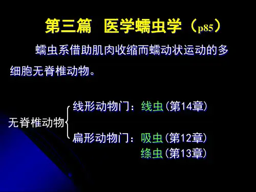 线虫1