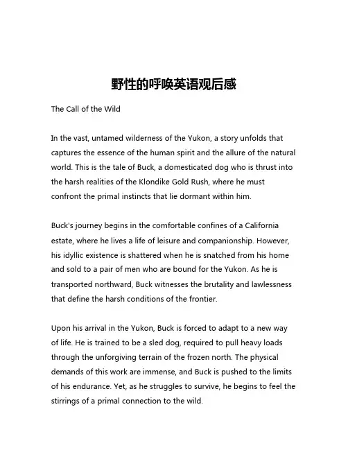 野性的呼唤英语观后感