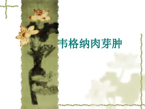韦格纳肉芽肿