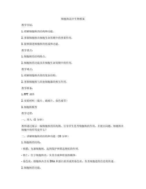 细胞核高中生物教案