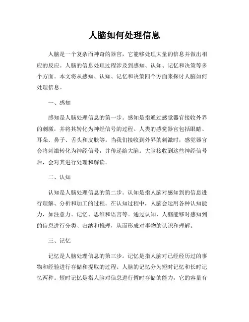 人脑如何处理信息