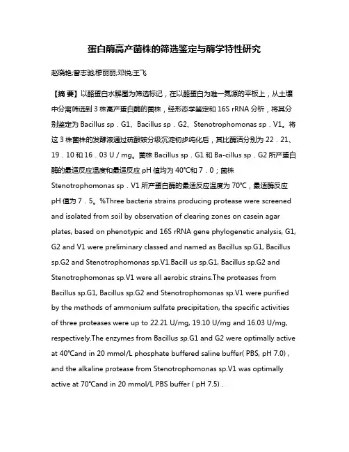 蛋白酶高产菌株的筛选鉴定与酶学特性研究