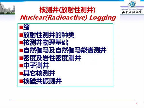 七放射性测井资料讲解