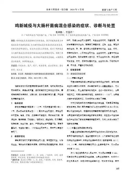鸡新城疫与大肠杆菌病混合感染的症状、诊断与处置
