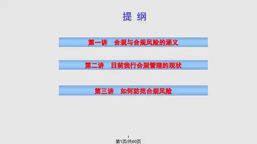 合规风险管理PPT课件