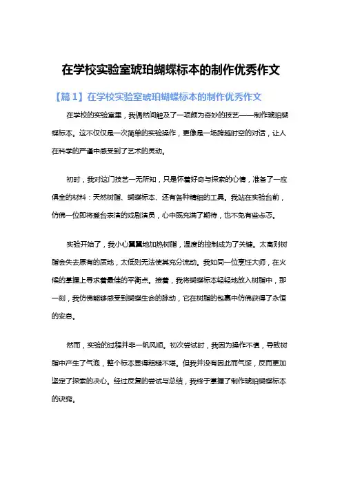 在学校实验室琥珀蝴蝶标本的制作优秀作文