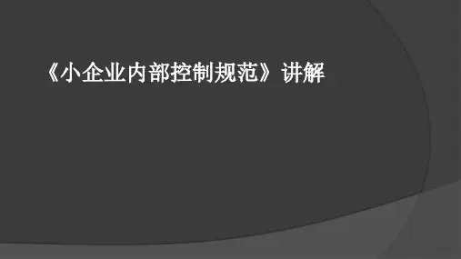 小企业内部控制规范