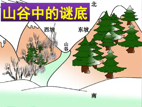 山谷中的谜底PPt课件