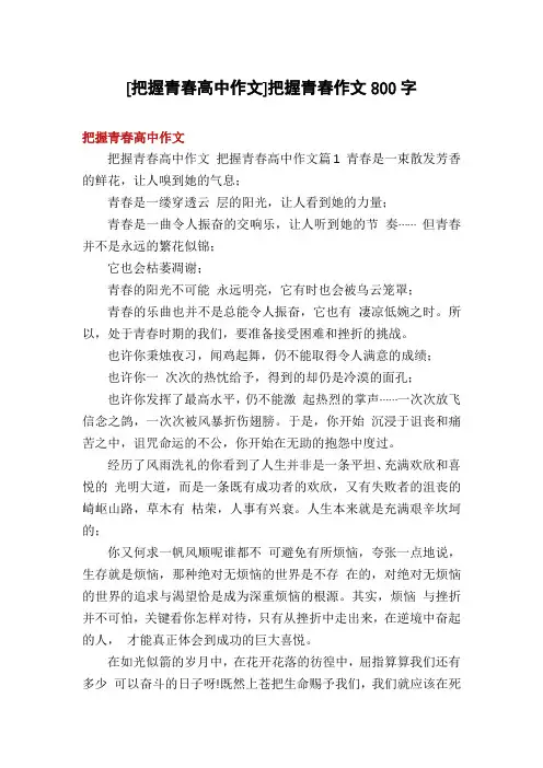 [把握青春高中作文]把握青春作文800字