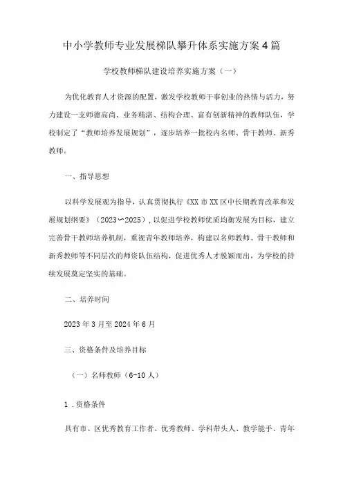 中小学教师专业发展梯队攀升体系实施方案4篇