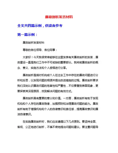 廉政剖析发言材料