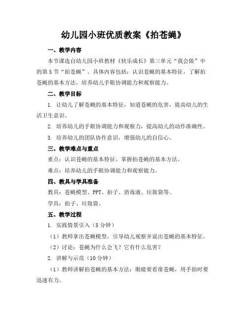 幼儿园小班优质教案《拍苍蝇》