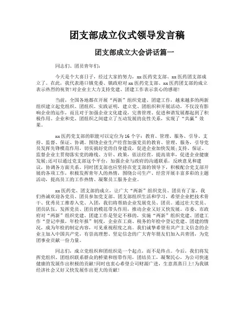 团支部成立仪式领导发言稿