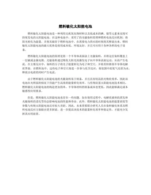 燃料敏化太阳能电池