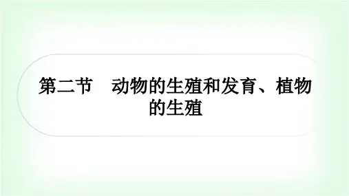 中考生物复习主题六生物的生殖、发育与遗传第二节动物的生殖和发育、植物的生殖课件
