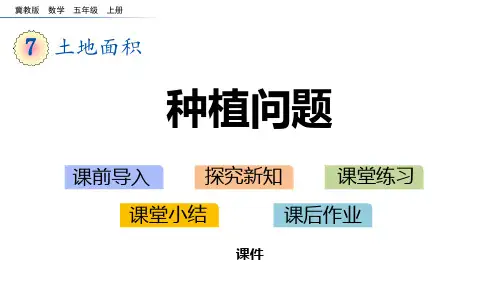 冀教版五年级上册数学《种植问题》土地面积研讨说课复习课件