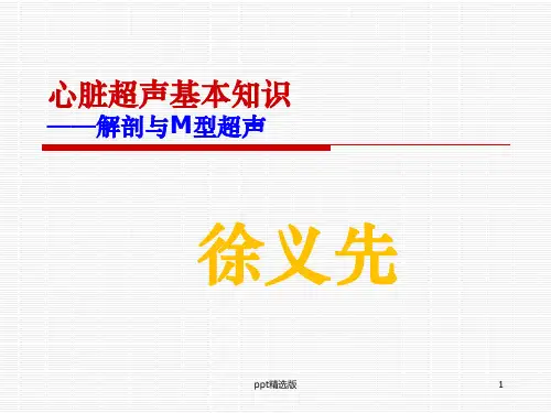 心脏超声基本知识ppt课件